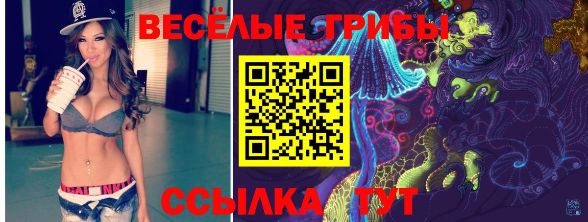 Нижнекамск  Псилоцибиновые грибы Cubensis  Вход с VPN 