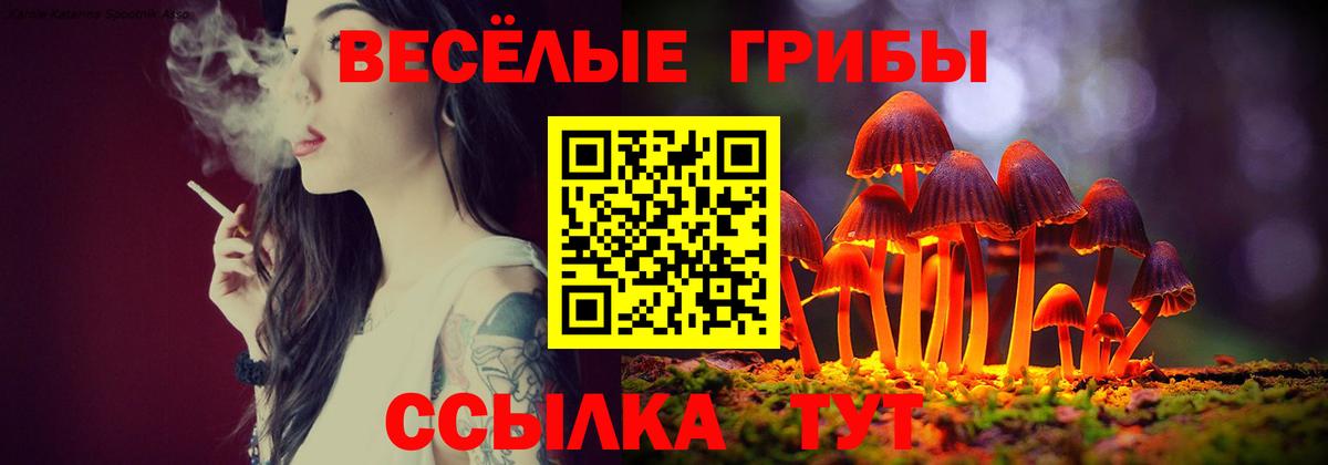 Галлюциногенные грибы GOLDEN TEACHER Нижнекамск
